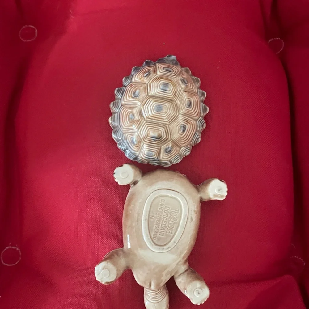 Small turtle - Picture 3 of 4